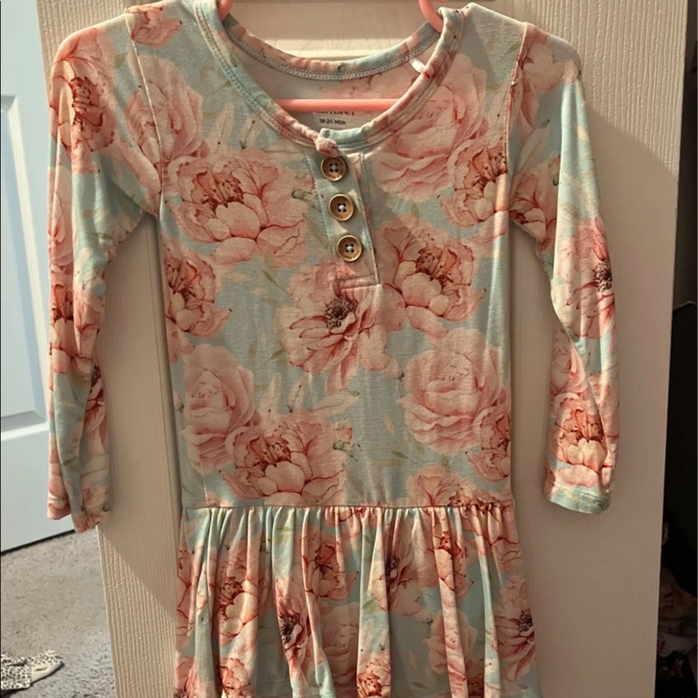 Posh peanut dress size 18-24 mo